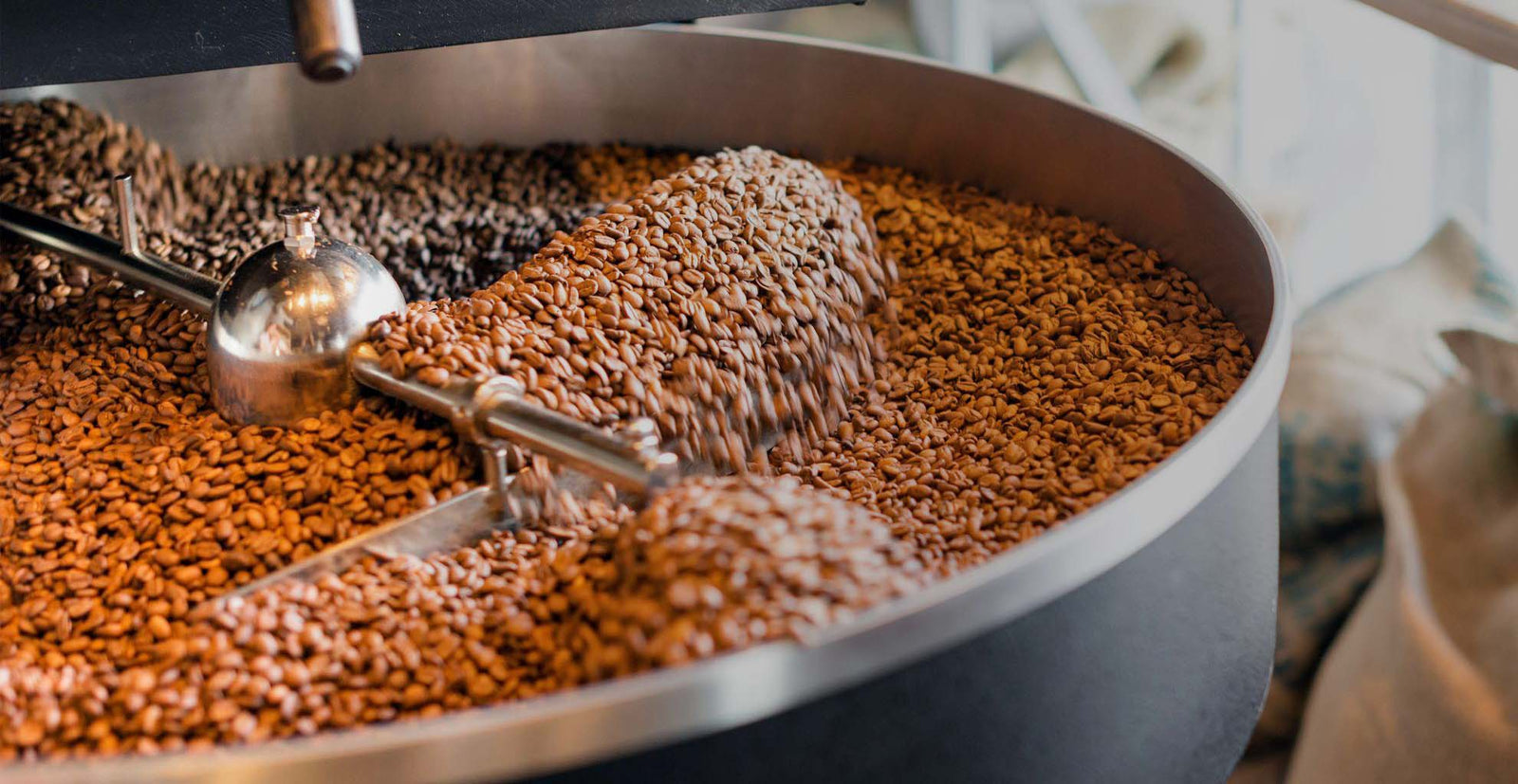 Roasting green coffee beans roaster machine