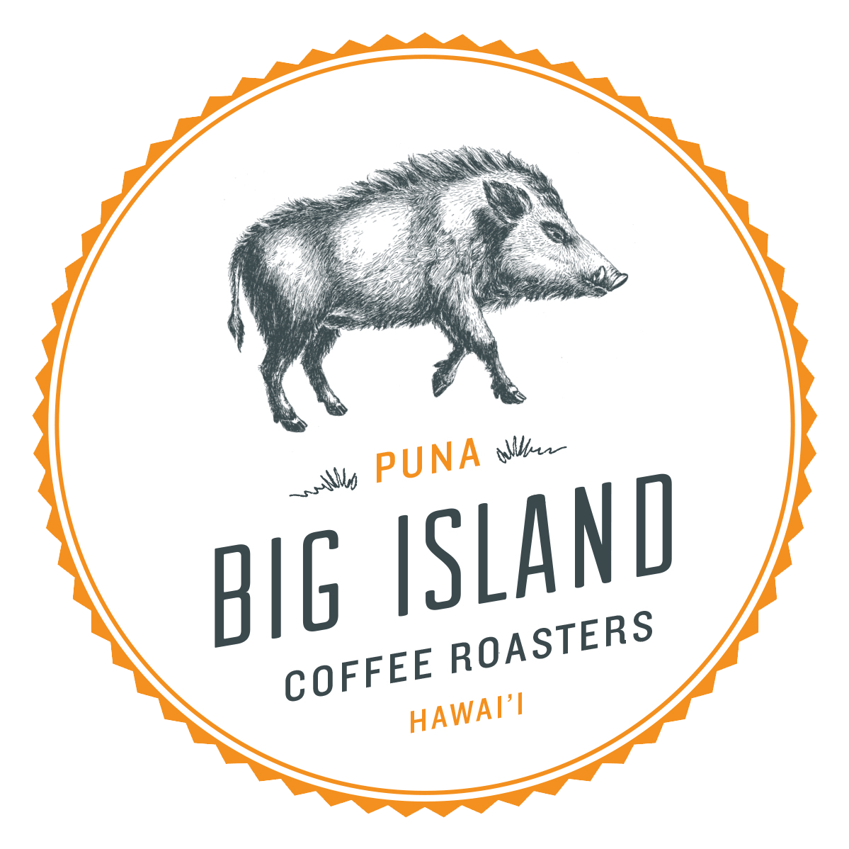OrderlyEmails - Recommended Products - Big Island Coffee Roasters