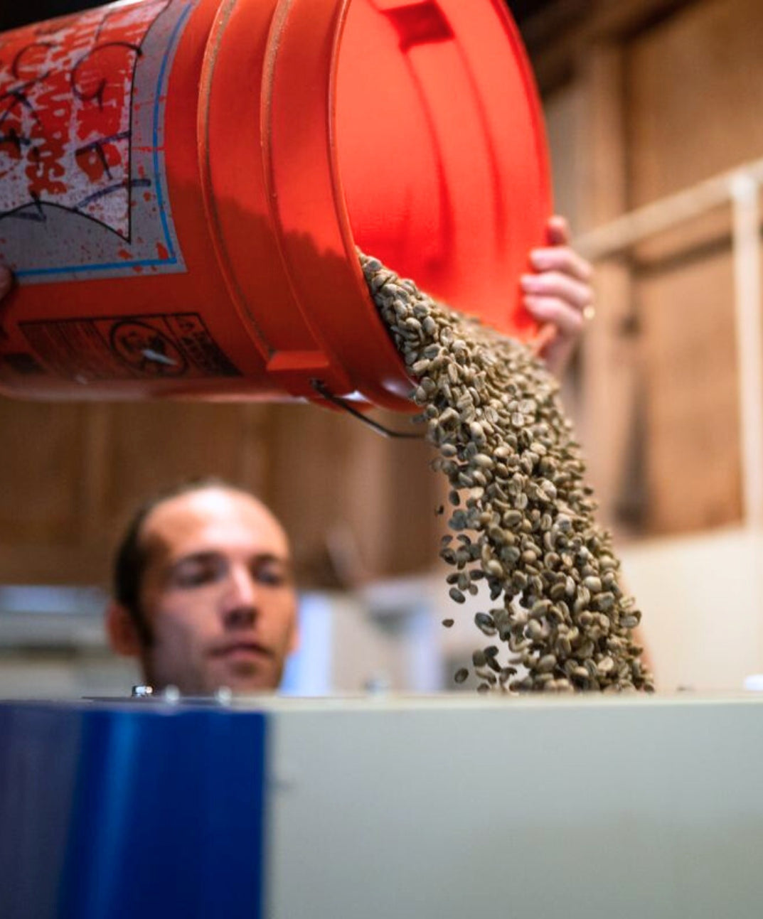 Preparing Ka'u coffee beans for roasting