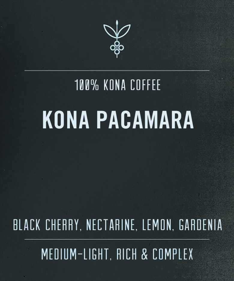Kona Pacamara Coffee