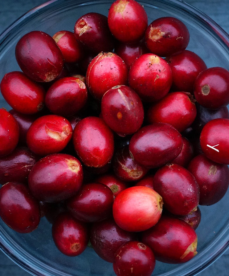 bourbon red coffee cherries