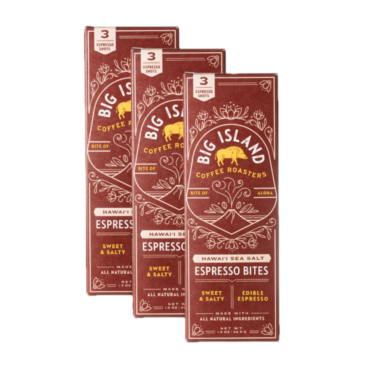 Big Island Coffee Roasters Espresso Bites SEA SALT ESPRESSO BITES | Salty & Sweet (Vegan) Salted Espresso Bites