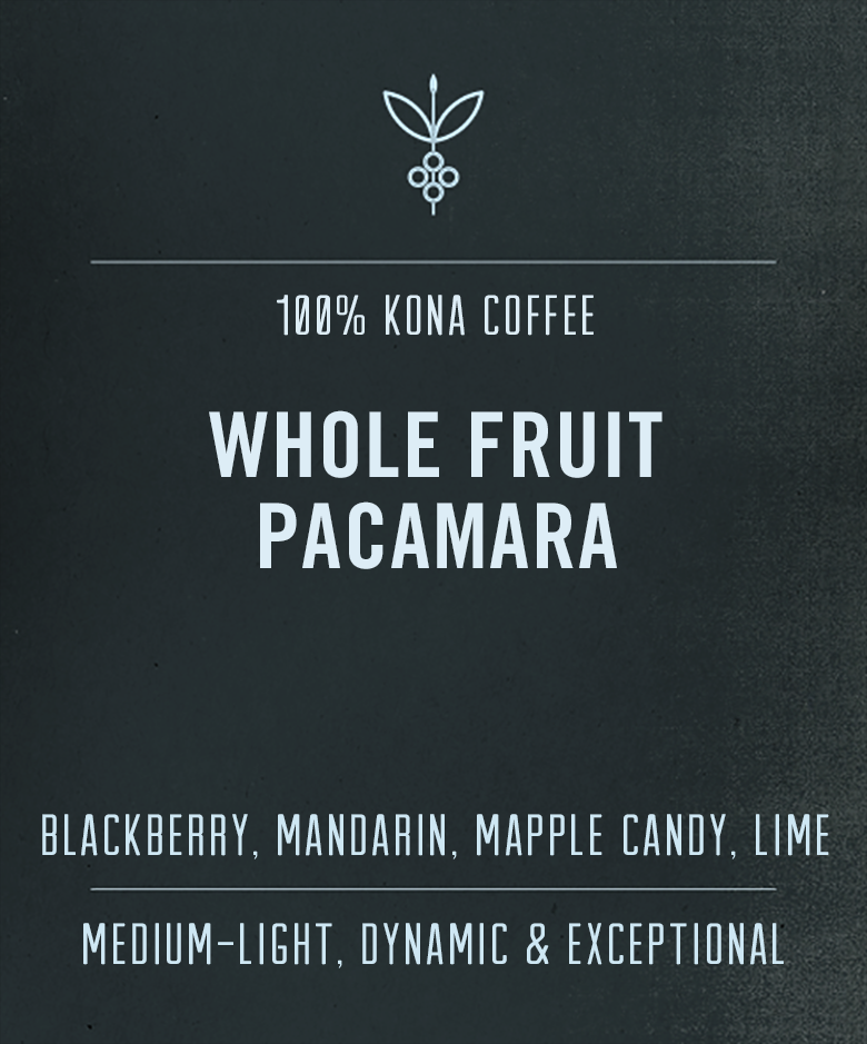 Whole Fruit Pacamara coffee