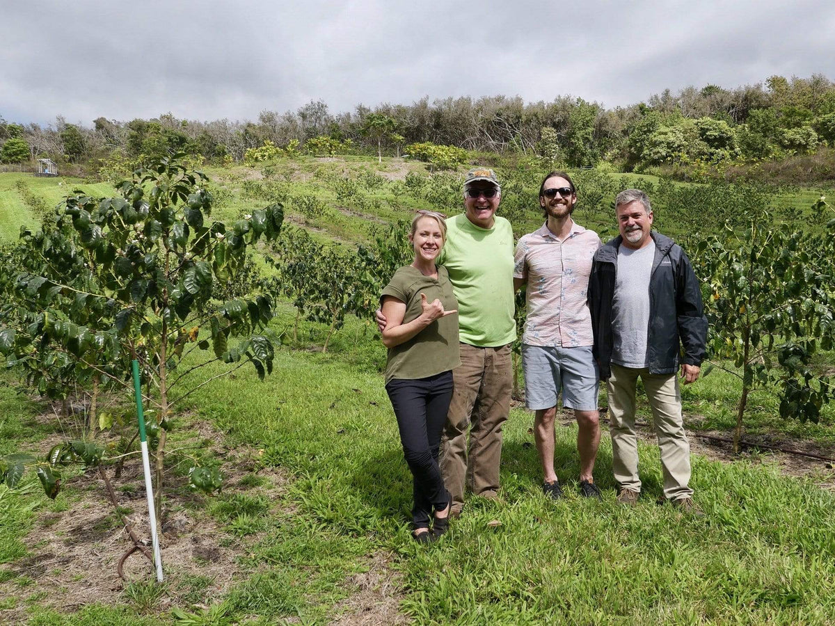 Big Island Coffee Roasters Hawaiian Coffee Kona Geisha - Hawaii Grand Champion Kona Geisha our best Kona Coffee | Big Island Coffee Roasters