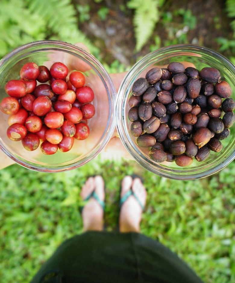 Kau Coffee Natural Fruit Forward